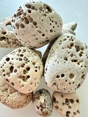 ☀️8 Vesicular Basalt Natural Stones☀️ ~1”-3”